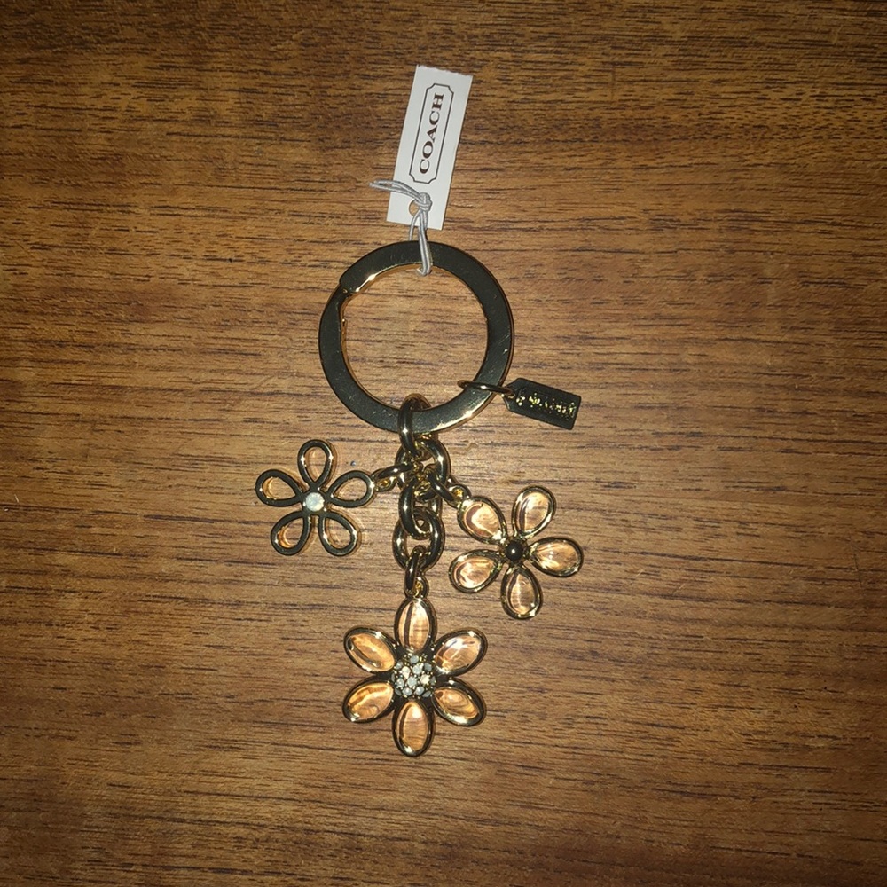 Coach keychain